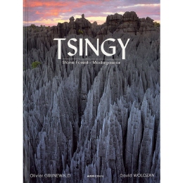 Tsingy Stone Forest - Madagascar