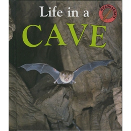 Microhabitats - Life in a Cave